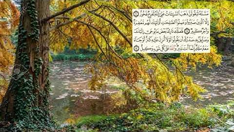 صفحة-222 page سعد الغامدي - -سورة هود -11- (Hud)
