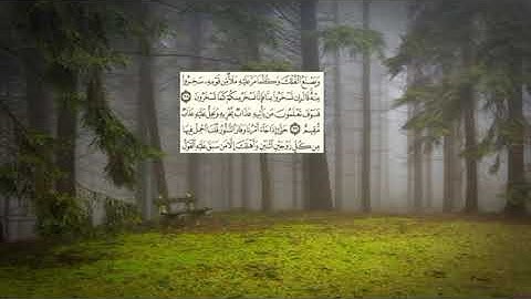 صفحة-226 page سعد الغامدي - -سورة هود -11- (Hud)