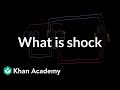 What is shock? | Circulatory System and Disease | NCLEX-RN | Khan Academy