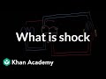 Understanding Shock and the Cardiovascular System