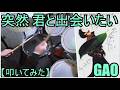 突然 君と出会いたい / GAO【ドラム】【叩いてみた】