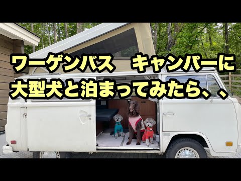 別荘 #33】ワーゲンバスに大型犬と泊まってみたら I stayed in a VW