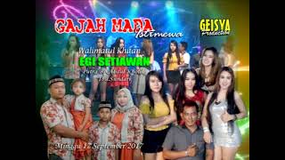 tak harus memiliki#cindy artega#gajah mada live dukun