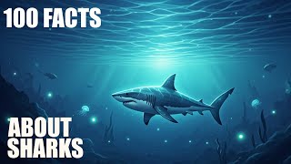 The Most Sleepy Facts About Sharks To Fall Asleep To Wealth