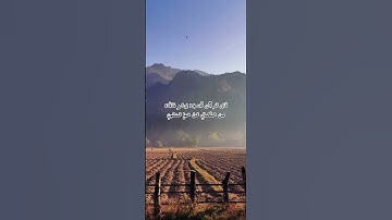 قران كريم بصوت القارئ هزاع البلوشي
