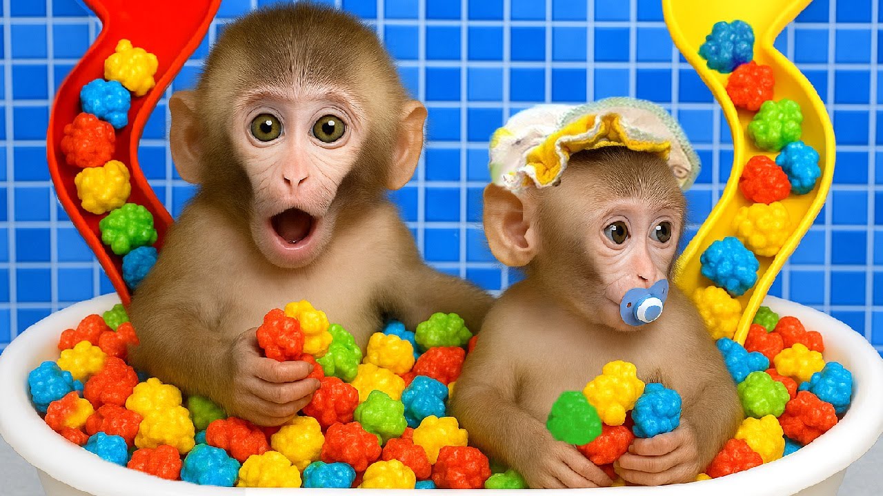 El lindo mono DuDu escapa de un misterioso laberinto y nada en el baño de burbujas de la granja