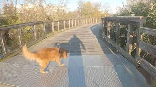 Towpath Trail- Wilbeth to Summit Lake with Jagger!