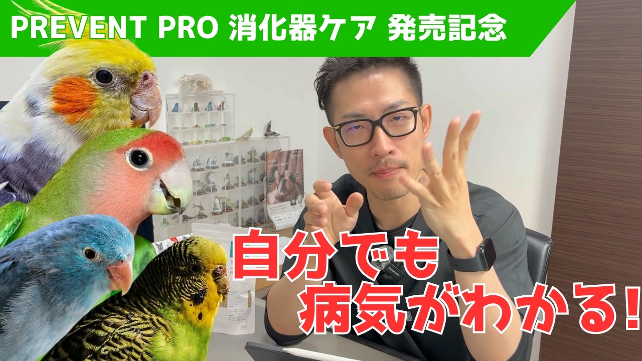 【インコ・オウム】鳥に多い消化器の病気4選！