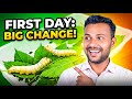 Silkworm Ka Life Cycle Kaise Chalta Hai? 4th Cocoon Se First Cocoon Tak | Science Explained