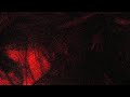 “hysteria (interlude)” - H3ARTBR3AK - [OFFICIAL MUSIC VIDEO]