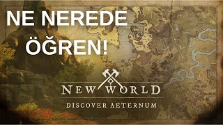 NEW WORLD AETERNUM MAP NEDİR? NASIL KULLANILIR?