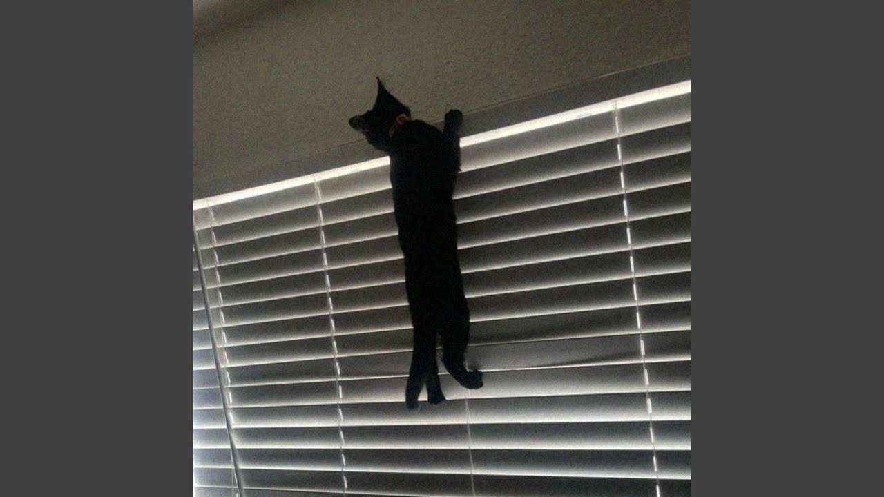 Obejrzyj backwards w YouTube Obejrzyj backwards w YouTube