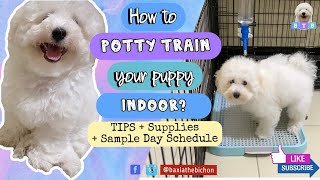 How to Potty Train Your Puppy Indoor | TIPS, Supplies & Day Sched (TAGALOG) | Baxia the Bichon