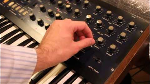 Korg Monopoly Arpeggiator quick patch