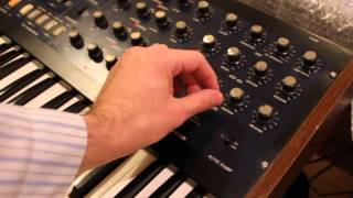 Korg Monopoly Arpeggiator quick patch