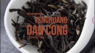 How to Brew Pheonix Oolong Tea | Feng Huang Dan Cong Rou Gui Xiang | Best way to make oolong tea