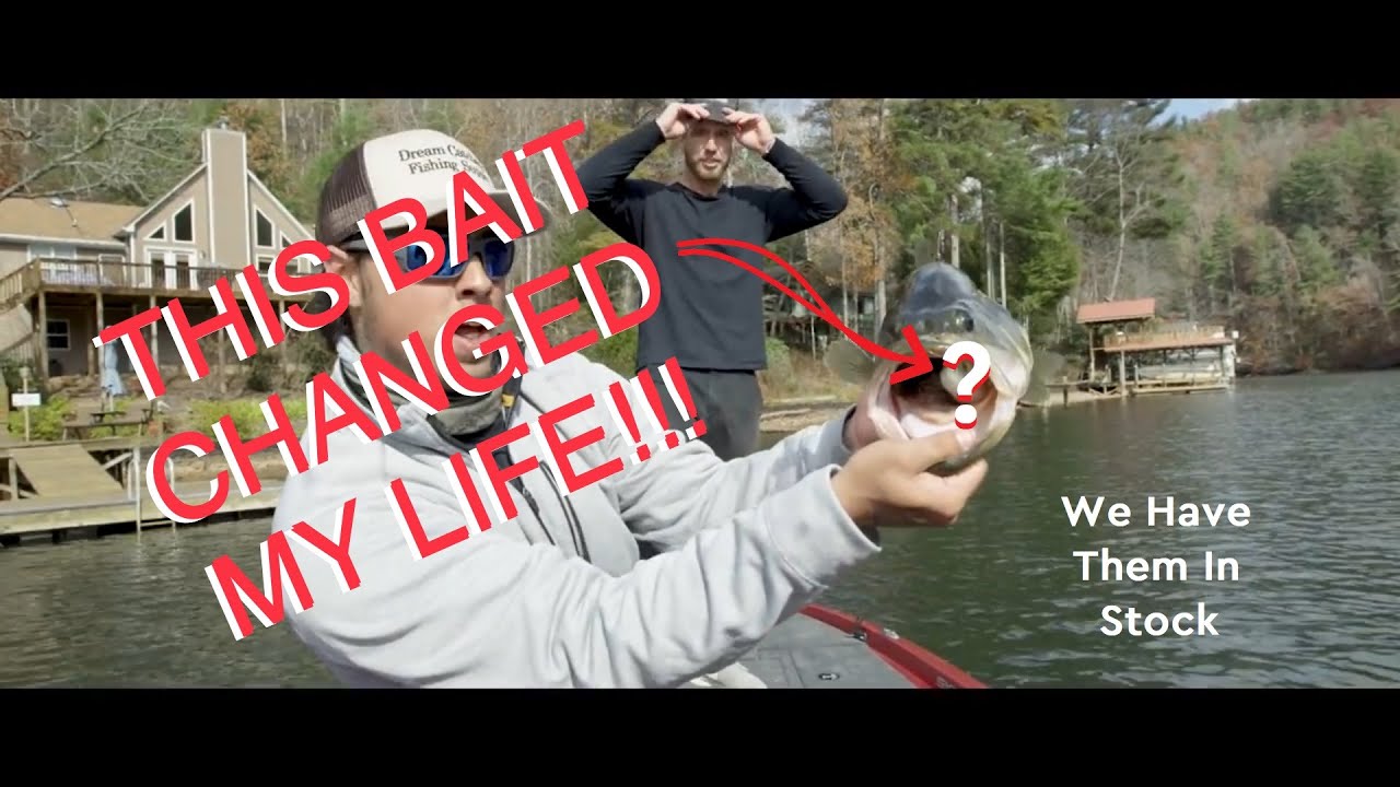 THE GIANT BASS SLAYER- Huddleston Swimbait
