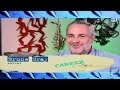 Career Day TV Show - Art Careers episode featuring artist Bruce Gray image