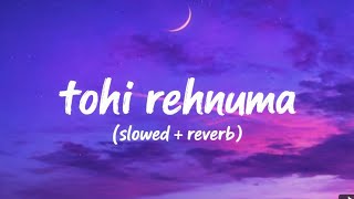 Tohi rehnuma (slowed+ reverb) screenshot 1