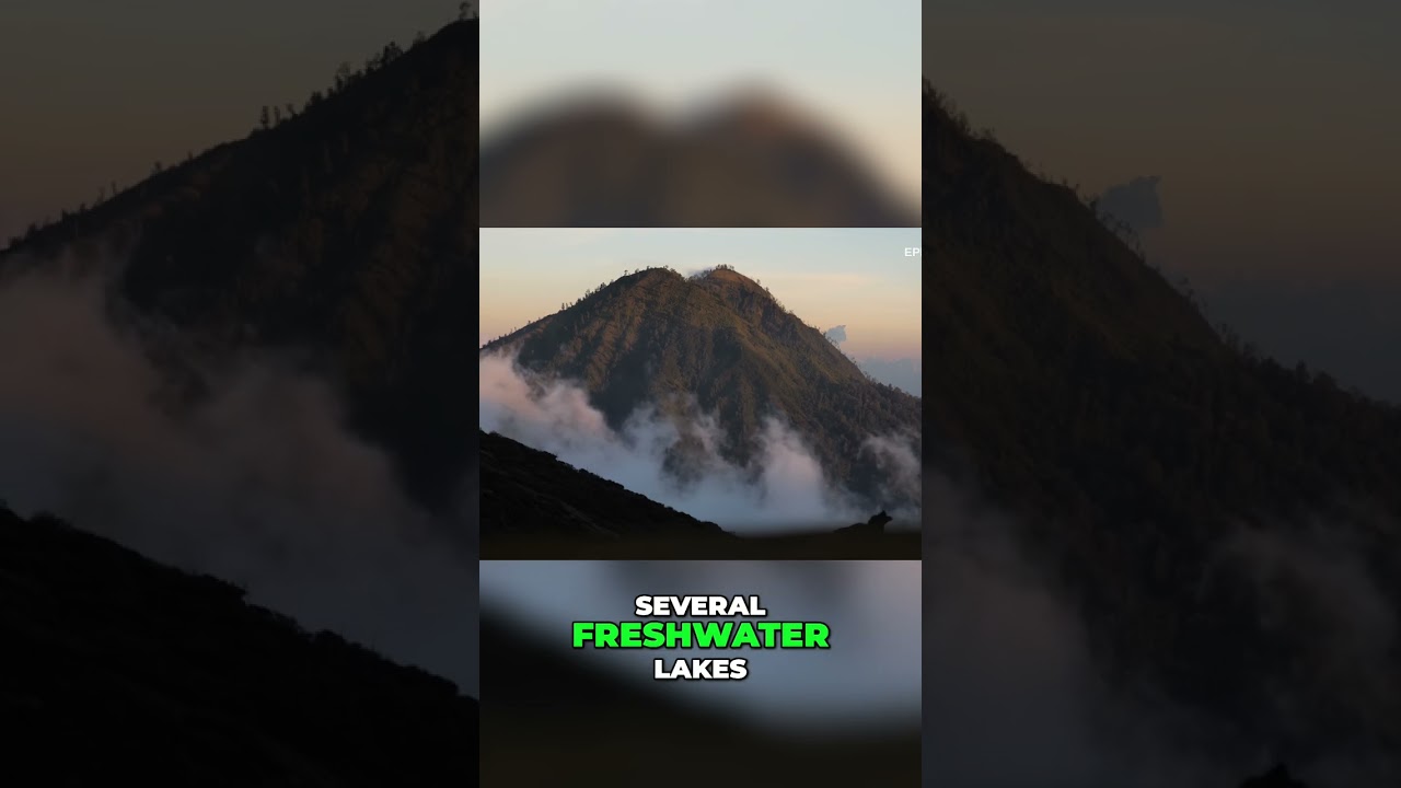 Mount Apo: Conquer the Peak, Discover Hidden Paradise & Rare Fish!