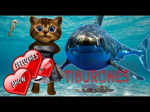 peluches de tiburones grandes