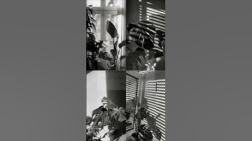 #آيات #تلاوة #حالات #قرآن #الله #قران_كريم #راحة_نفسية #إذكروني_بدعوة #اكسبلور #اذكار #الجمعة #سورة