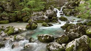 🎵 Native American Flute Music and Nature Sounds, Forest and River - Nature Music for Relaxation