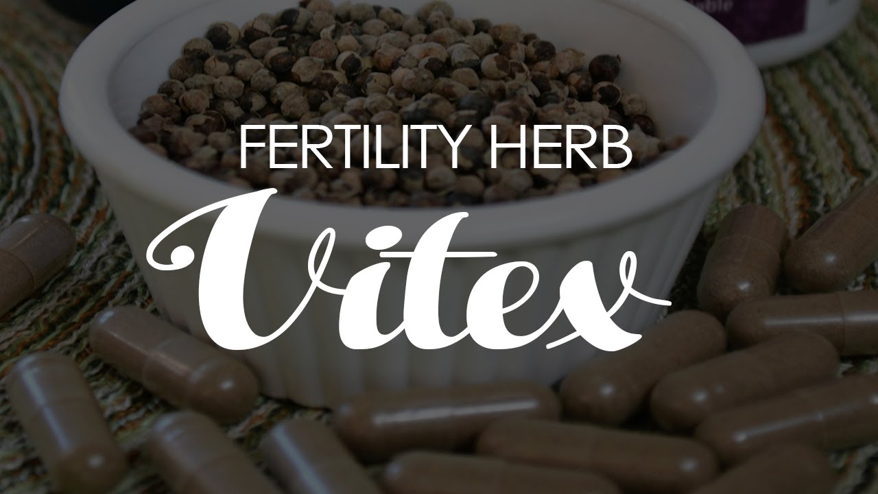 Fertility Herb Vitex YouTube
