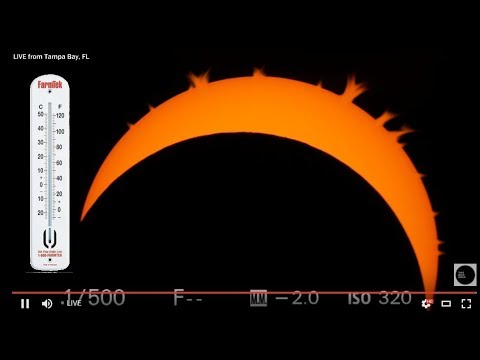 Temperature Drop During Partial (82%) Solar Eclipse in Tampa Bay 2017
