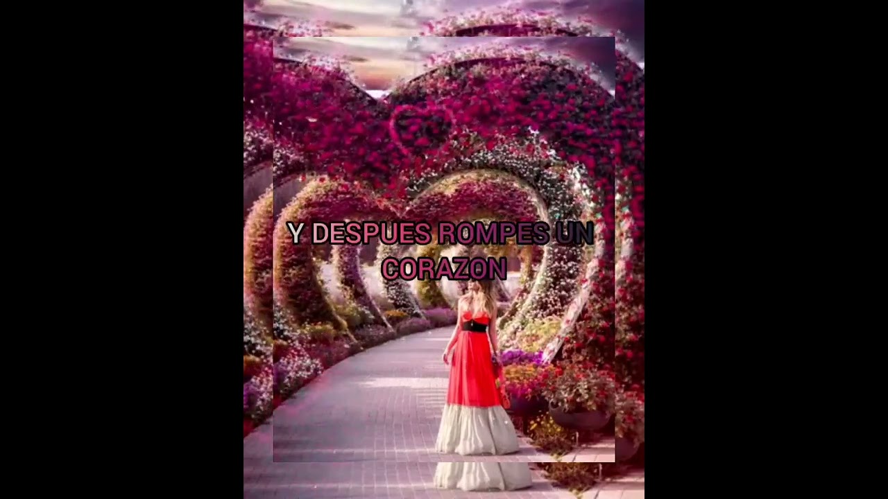 THE SORROWS - TAKE A HEART