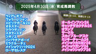 育成馬調教 2026年4月30日（2歳馬20頭）