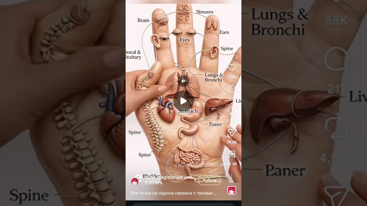 इस चित्र को ध्यान से देखें।इस में ज्ञान की बात है।  #directoramarbetaab #filmymulaqaat #ज्ञान # फॉलो