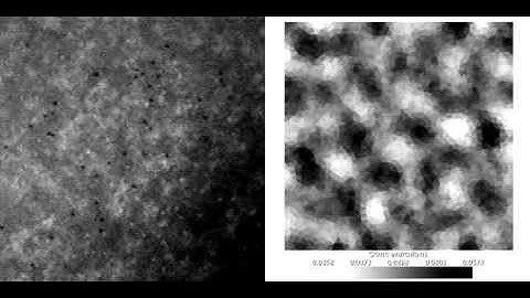 Micromass culture vs Turing mechanism