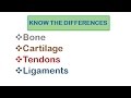 Skeletal System| Bone, Cartilage, Tendons, Ligaments