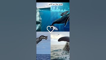 فنادي في الظلمات ان لا اله الا انت سبحانك اني كنت من الظالمين القارئ جمال عبد الناصر ❤️