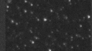 Pluto20100520.wmv