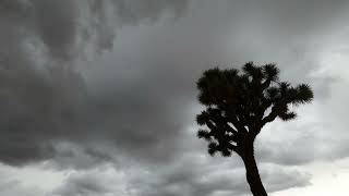 Joshua Tree Time-lapse of Storm Clouds Rolling In