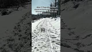 Kita ist wie Arbeit für die Kleinsten! #parentlife #elterncoaching