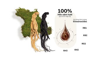 Ginsenosides trong Hồng sâm và Hắc sâm  Thành phần dược lý độc đáo giúp bạn sống khỏe mạnh mỗi ngày