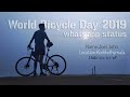 Bicycle Day Whatsapp Status 2019