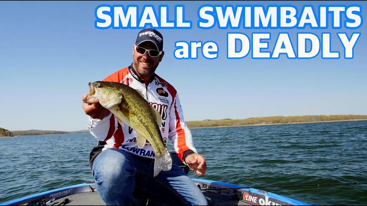 How to Fish a Finesse Swim Bait - Expert fishing tips you need to know to  catch more bass 