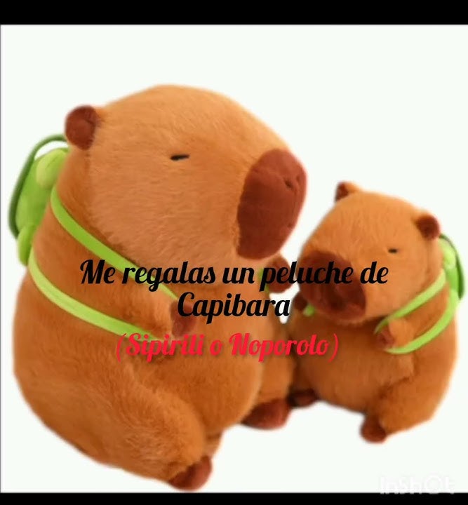 ¿Sipirili o Noporolo?