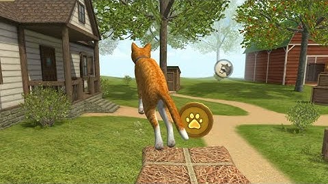 Cat Simulator 2020 : Android walk-through Gameplay part 01