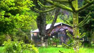 Sur de Chile