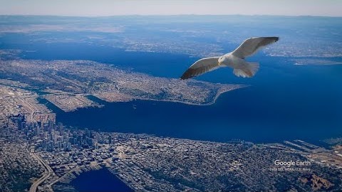 Google Earth Studio & Adobe Premiere Tutorial