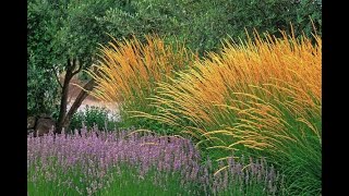 How to use Grasses in the Garden/Garden Style nw