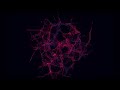Gemini vs ChatGPT for Research Outlines: A Practical Comparison