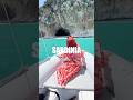 #sardinia #italy #travel #shortsfeed #explore #adventure #nature #summer #europe #video #trending
