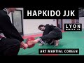 Hapkido jjk  lyon art martial coren