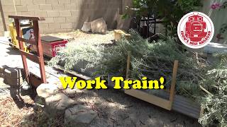 Hauling Brush